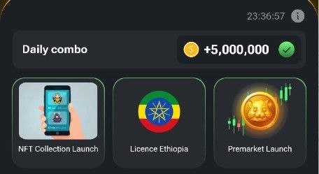 Kartu Combo Harian Hamster Kombat untuk 29 Juni 2024