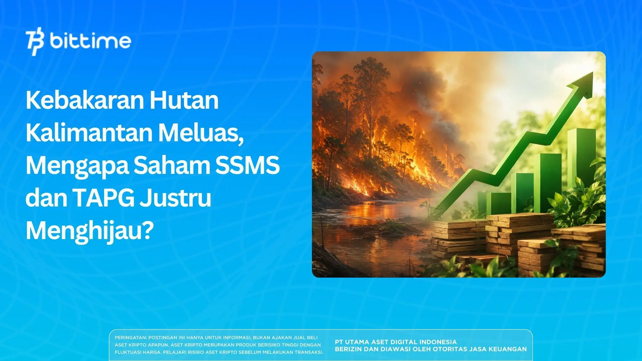 Kebakaran Hutan Kalimantan Meluas, Mengapa Saham SSMS dan TAPG Justru Menghijau.webp