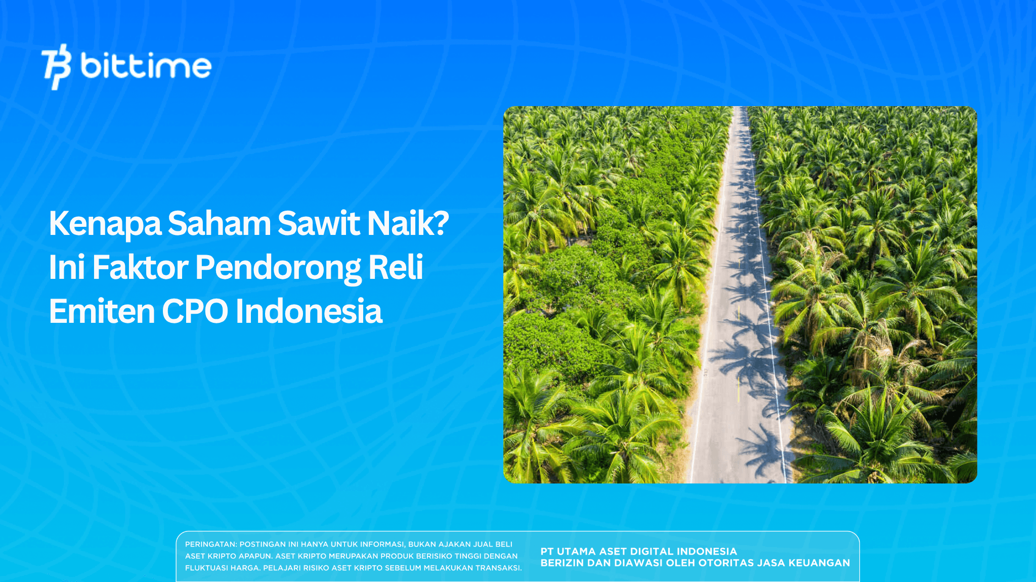 Kenapa Saham Sawit Naik? Ini Faktor Pendorong Reli Emiten CPO Indonesia