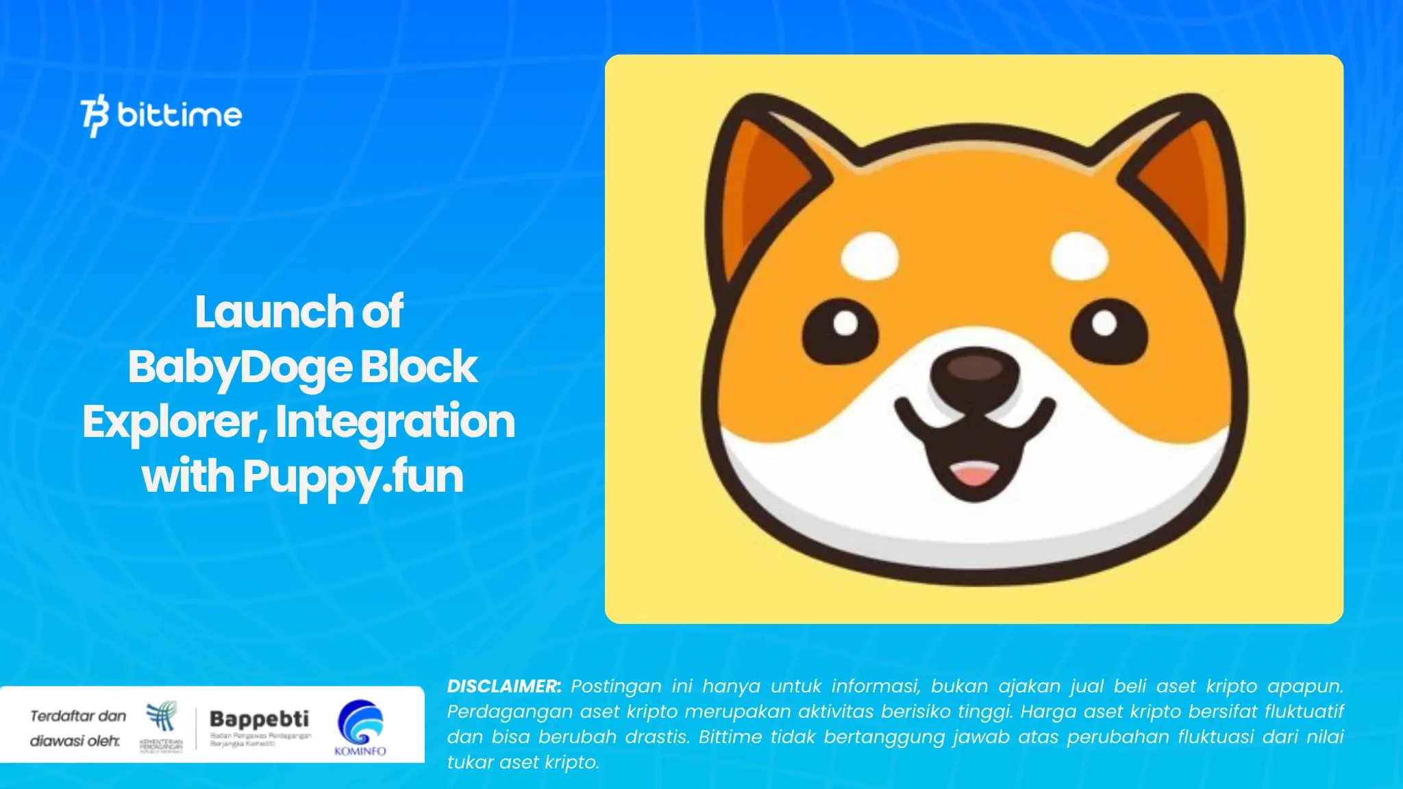 Launch of BabyDoge Block Explorer.webp