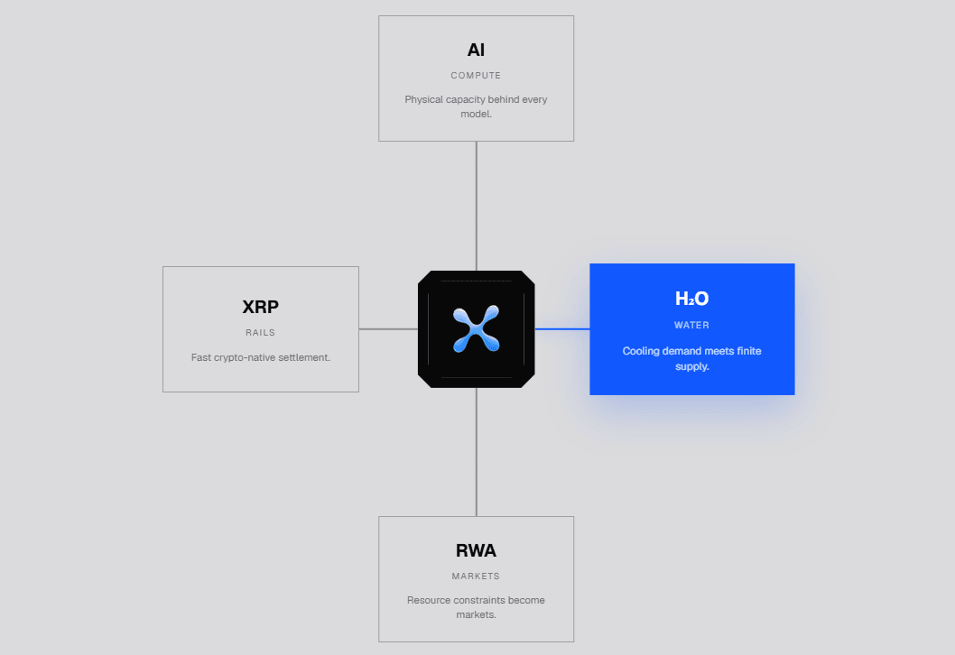 LiquidX model.png
