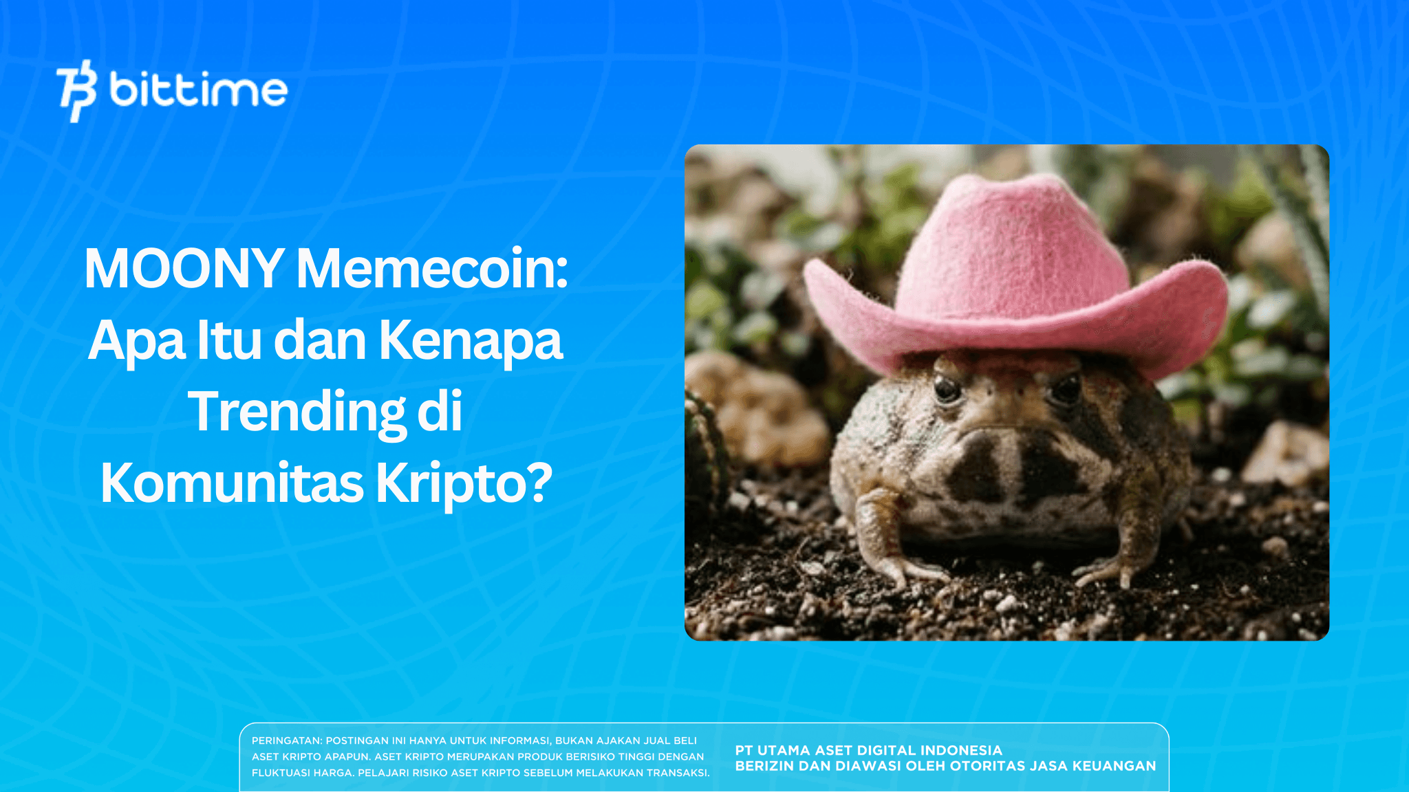 MOONY Memecoin: Apa Itu dan Kenapa Trending di Komunitas Kripto?