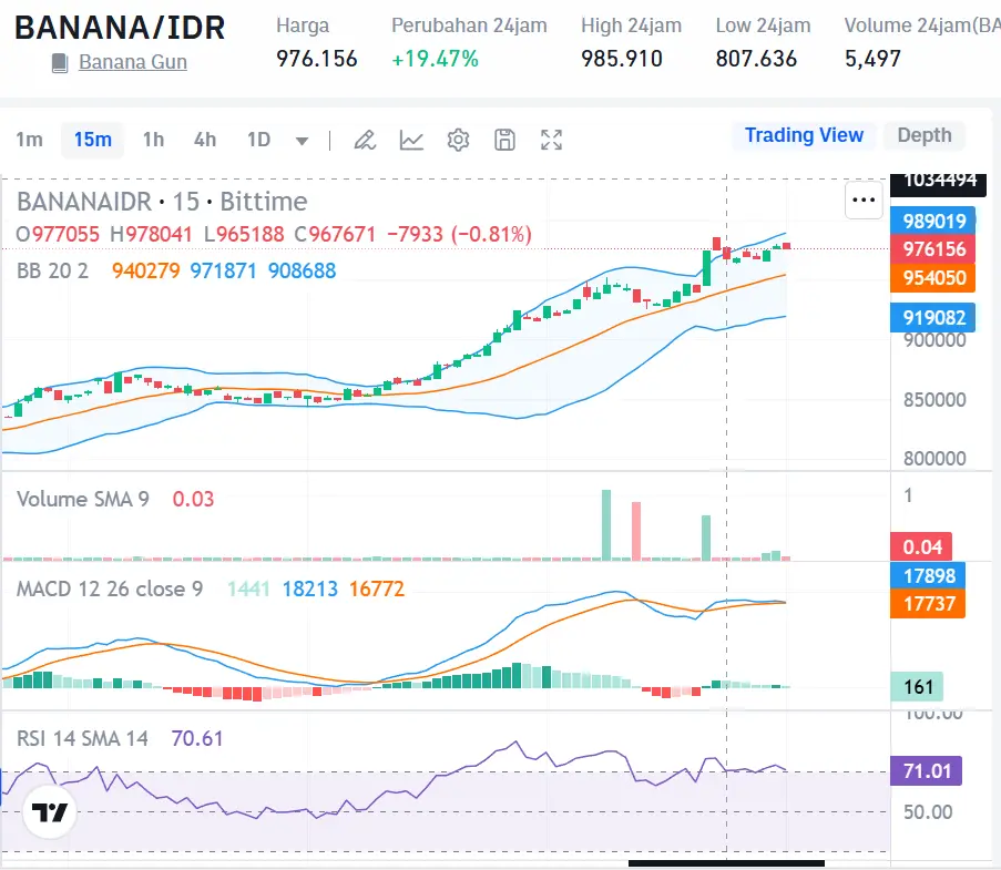 Market Crypto Hari Ini 29 Oktober 2024