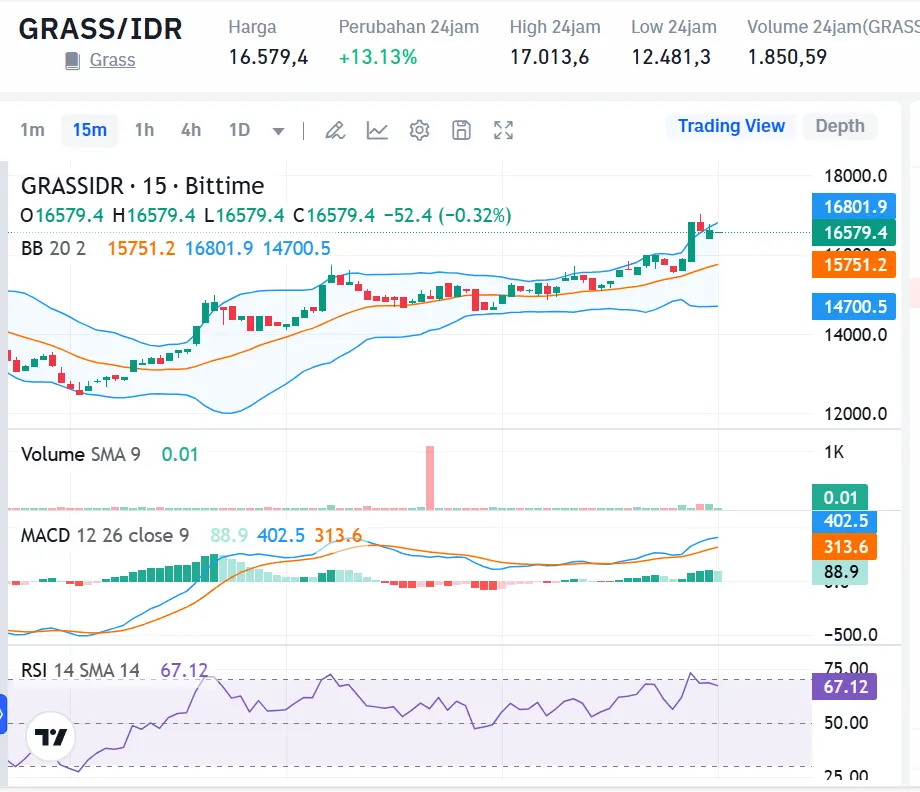 Market Crypto Hari Ini 31 Oktober 2024