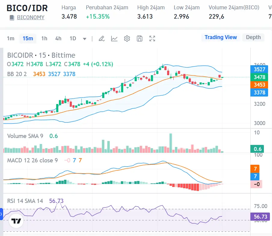 Market Crypto Hari Ini 31 Oktober 2024