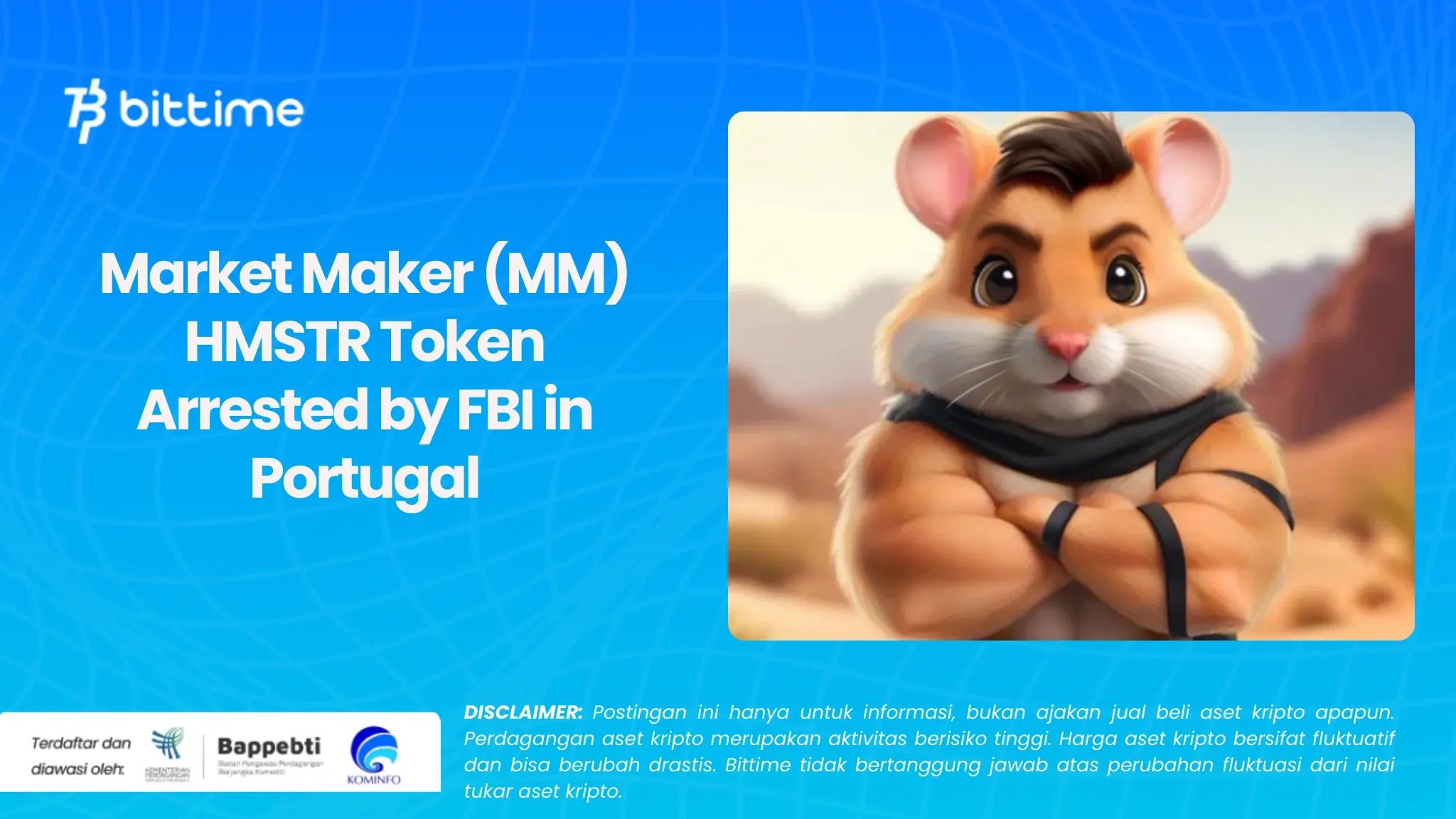   Market Maker (MM) HMSTR Token Arrested by FBI in Portugal