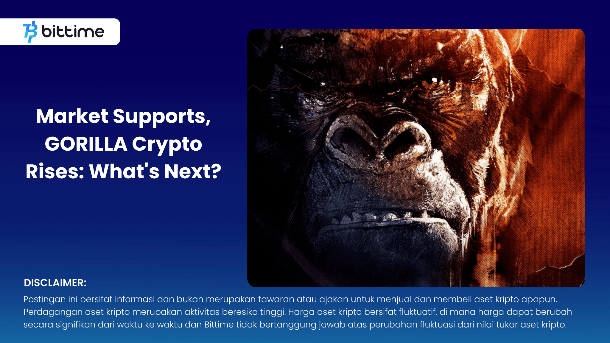 Market Supports, GORILLA Crypto Rises What's Next.png