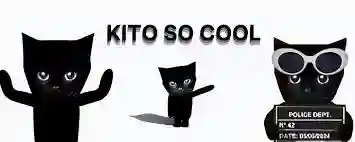 Memecoin Season Jaringan TON, Analis Ini Bongkar Koin Berpotensi Untung - kito so cool.webp