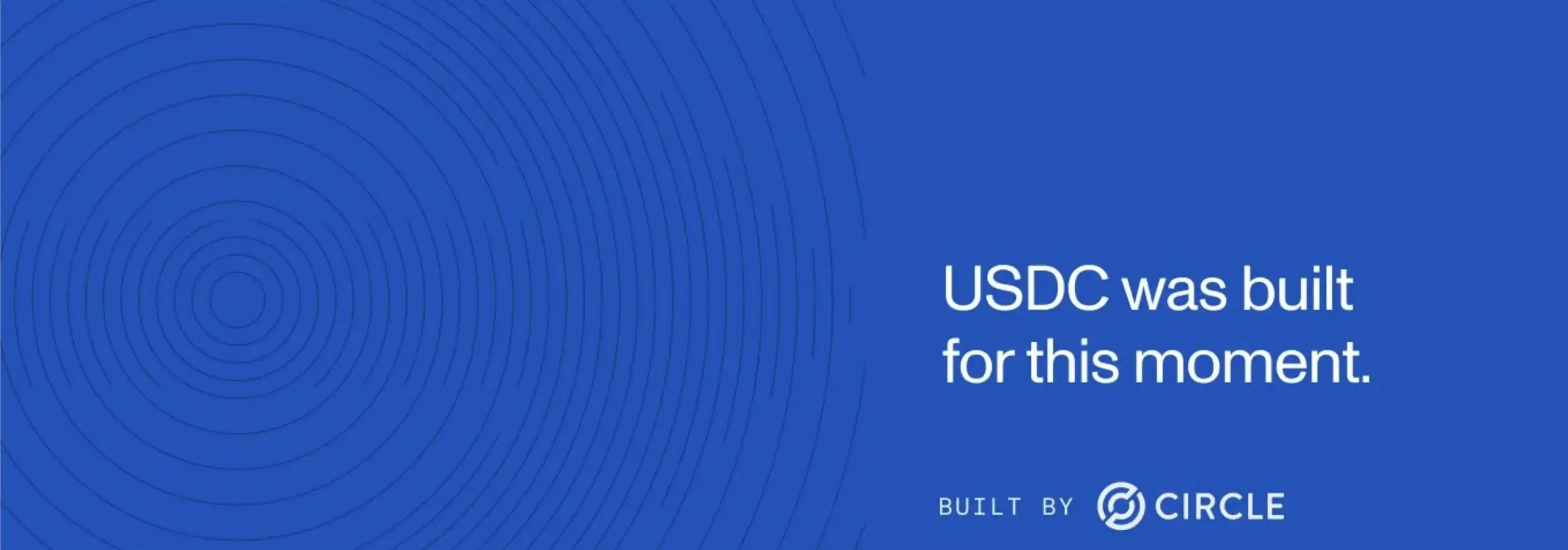 Mengapa Robinhood Chain Membutuhkan USDG Bukan USDC - usdc.webp