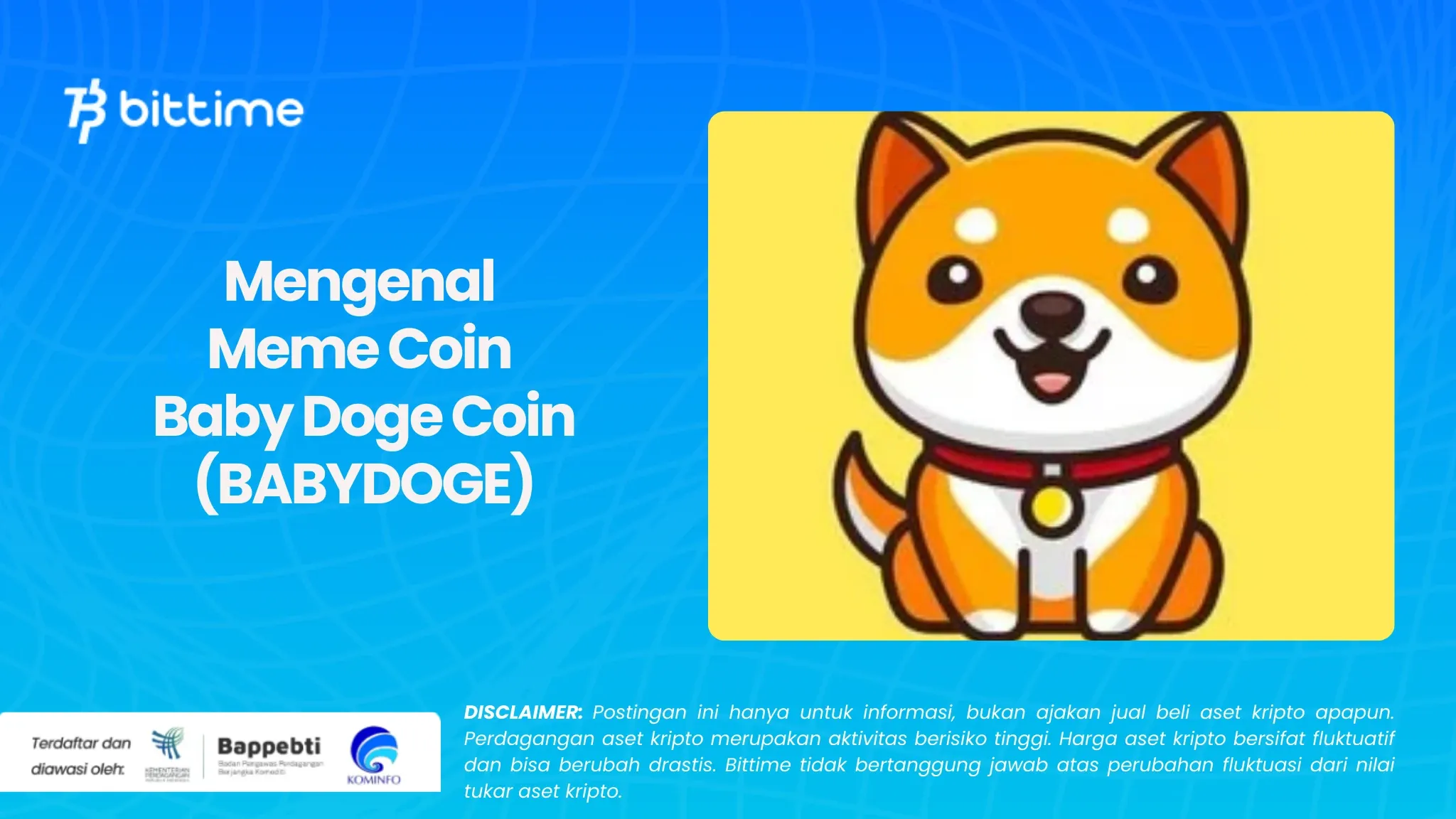 Mengenal Meme Coin Baby Doge Coin (BABYDOGE)