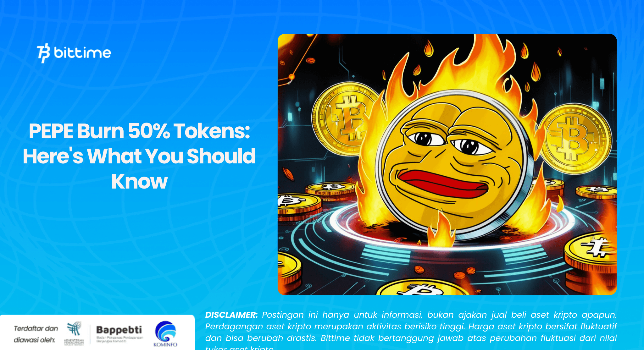 PEPE Burn 50% Tokens Here's What You Should Know.png