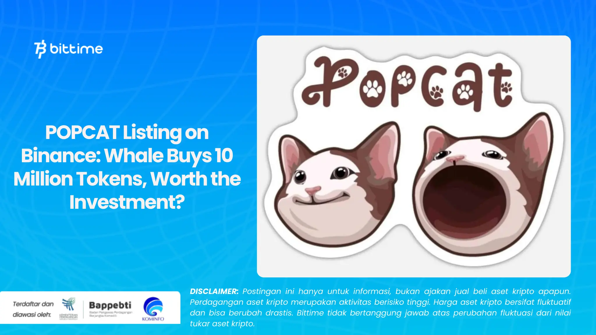 POPCAT Listing on Binance: Whale Buys 10 Million Tokens, Worth the Investment?