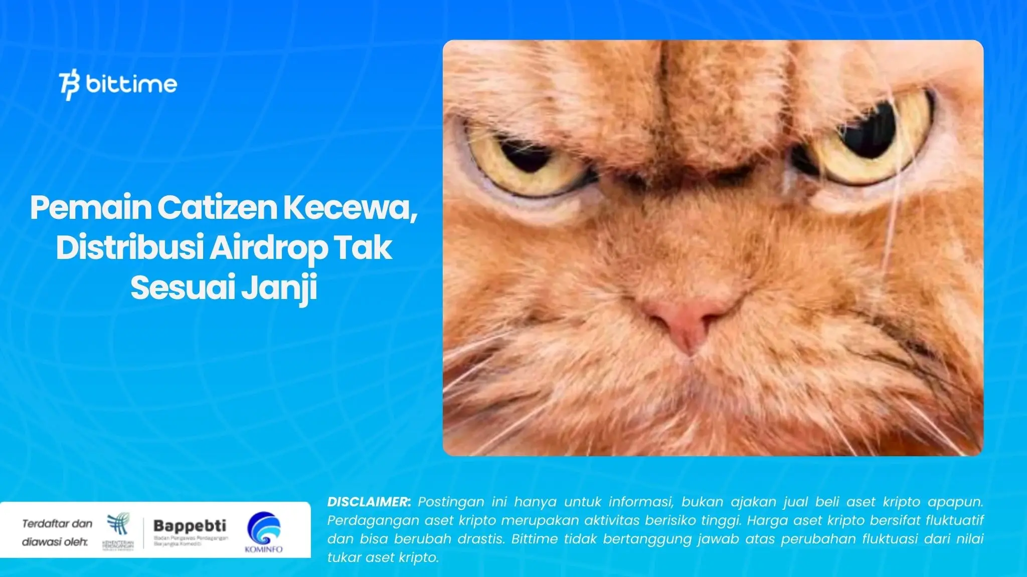 Pemain Catizen Kecewa, Distribusi Airdrop Tak Sesuai Janji.webp