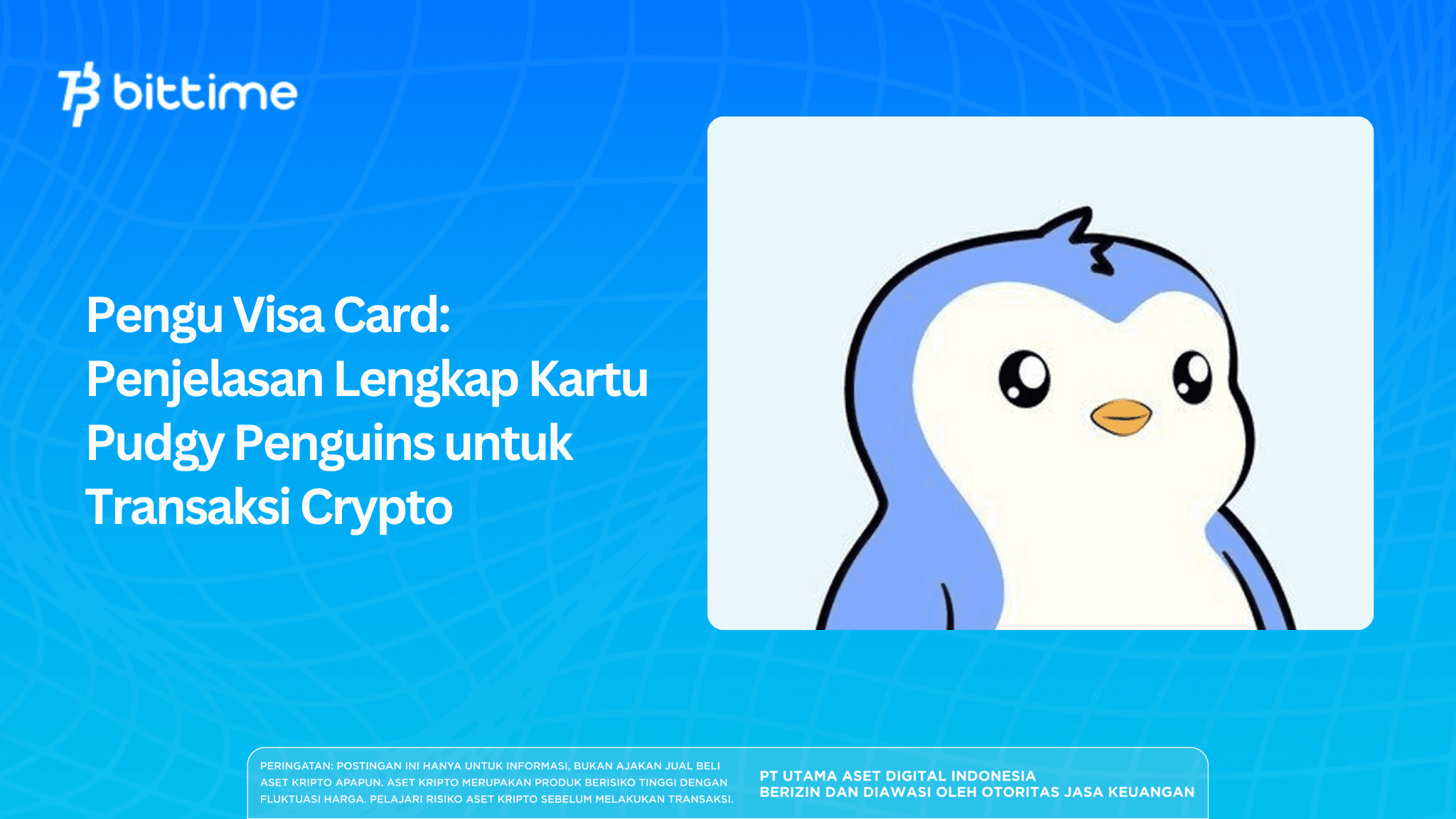 Pengu Visa Card: Penjelasan Lengkap Kartu Pudgy Penguins untuk Transaksi Crypto
