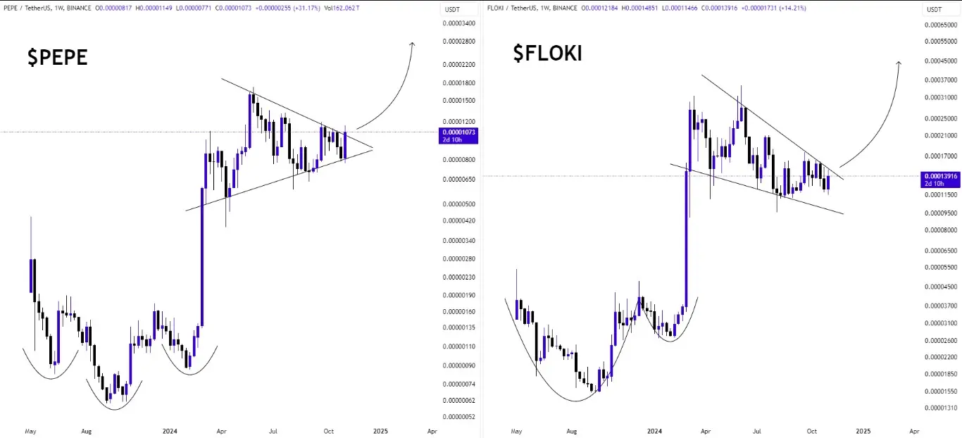 Perbandingan chart PEPE vs FLOKI.webp