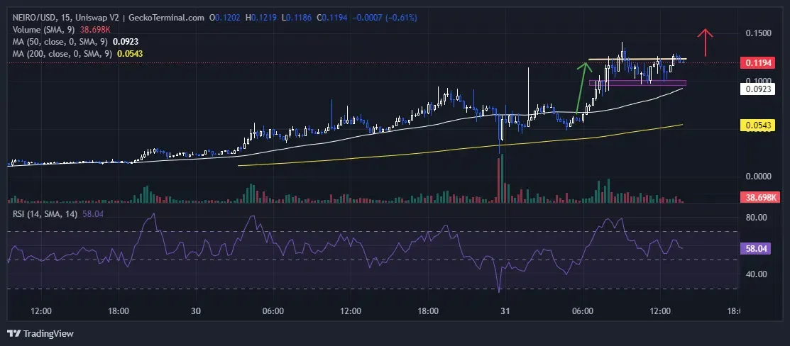 NEIRO Coin Price Prediction 2024