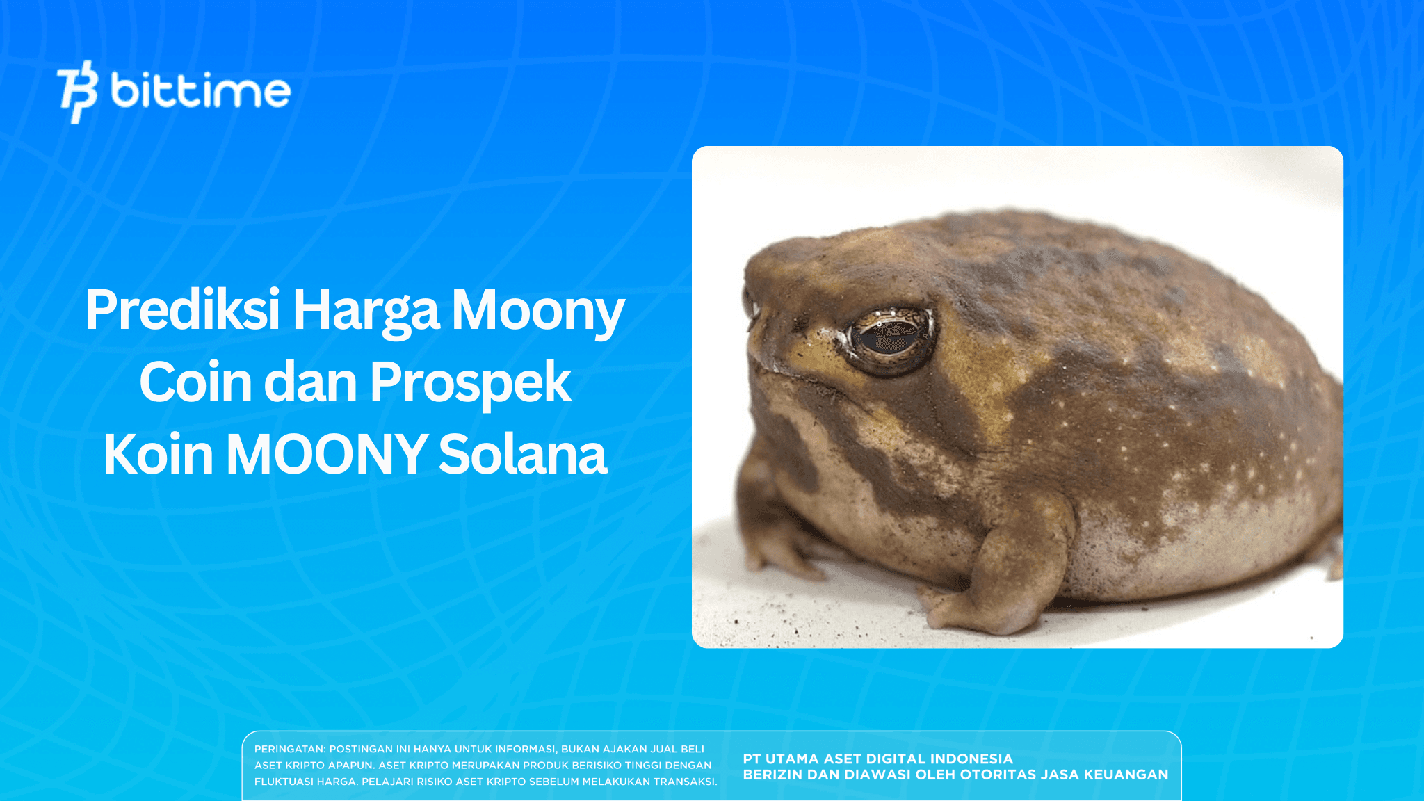 Prediksi Harga Moony Coin dan Prospek Koin MOONY Solana