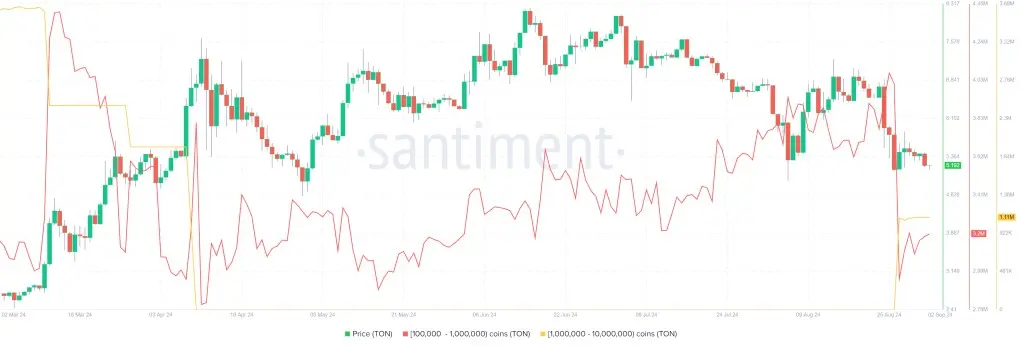 Prediksi Harga TON.webp