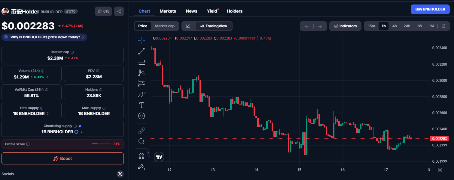 Prediksi harga 币安Holder (BNBHOLDER)