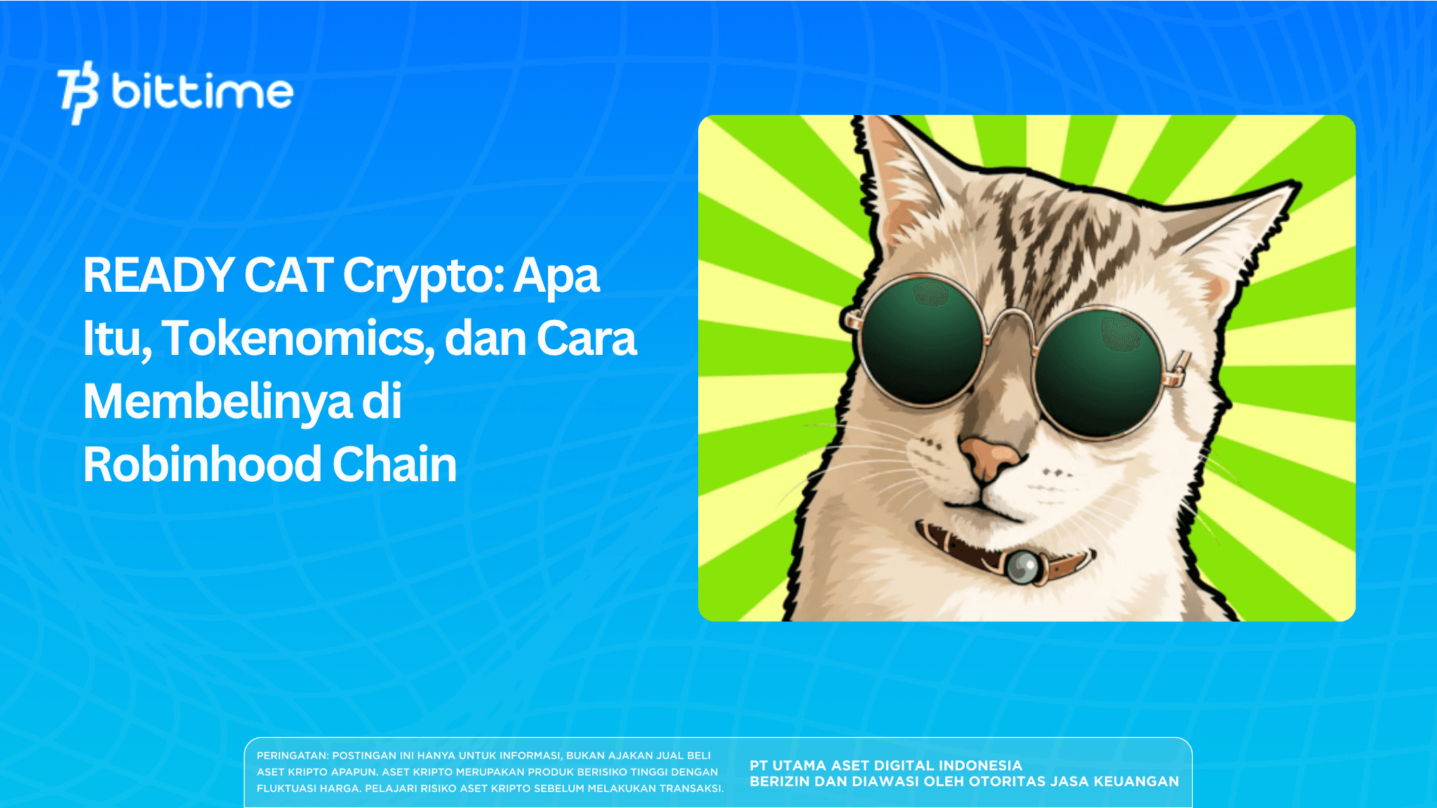 READY CAT Crypto: Apa Itu?