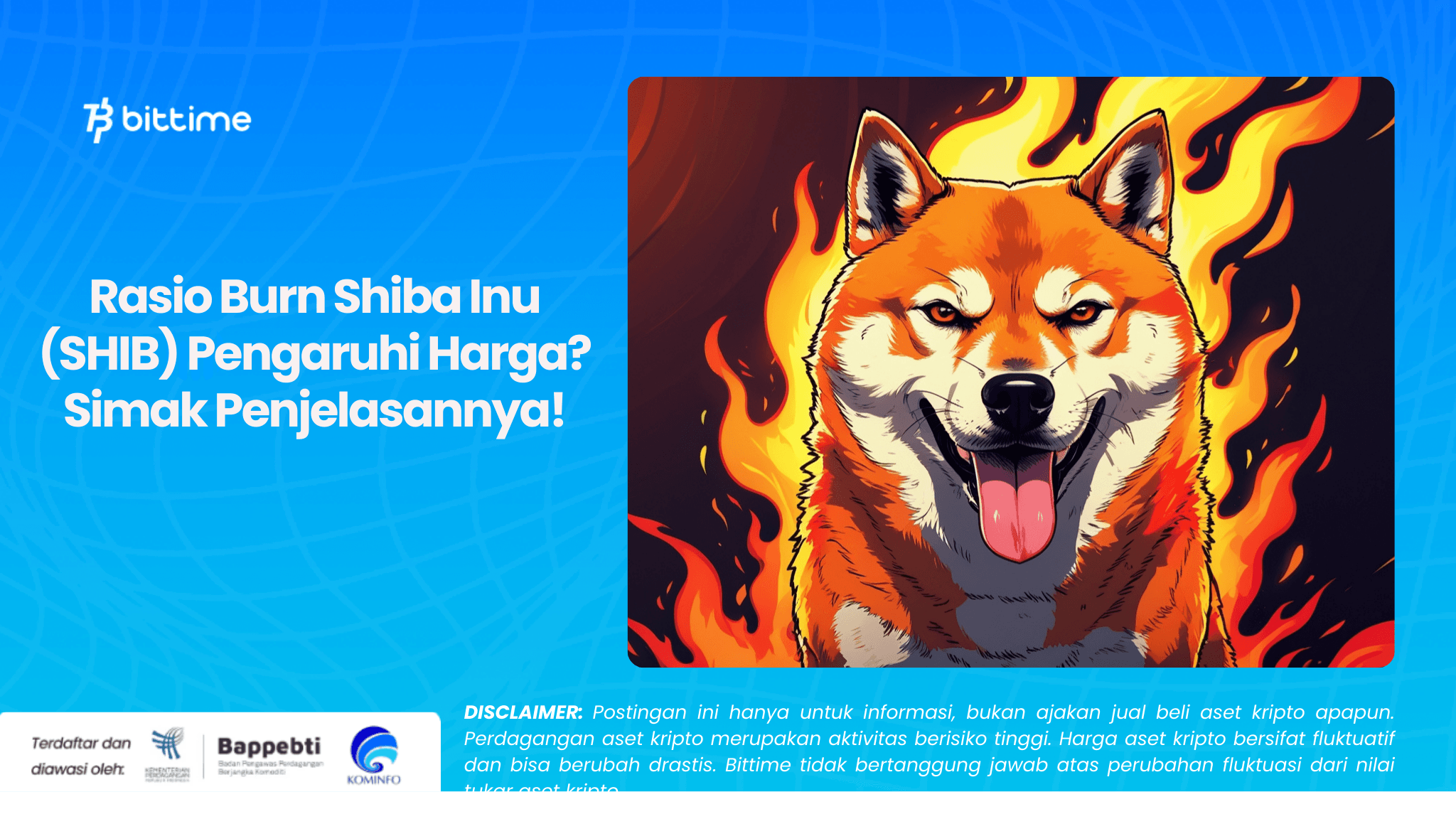 Rasio Burn Shiba Inu (SHIB) Pengaruhi Harga Simak Penjelasannya!.png