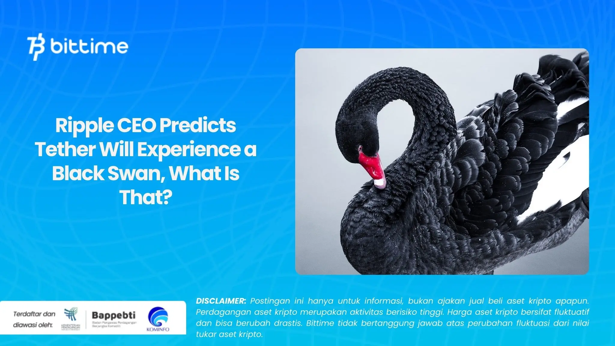 Ripple CEO Predicts Tether Will Experience a Black Swan, What Is That?