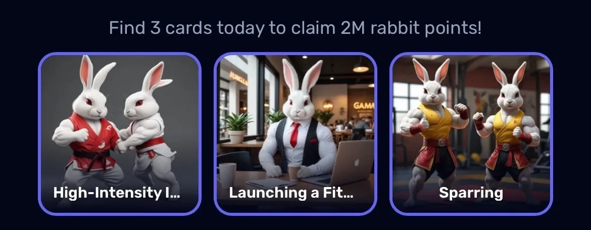 Rocky Rabbit Daily Combo 20 Agustus 2024 Sudah Keluar, Cek Disini