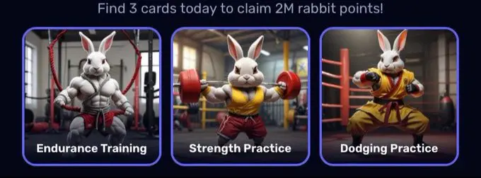 Rocky Rabbit Daily Combo 31 Agustus.webp