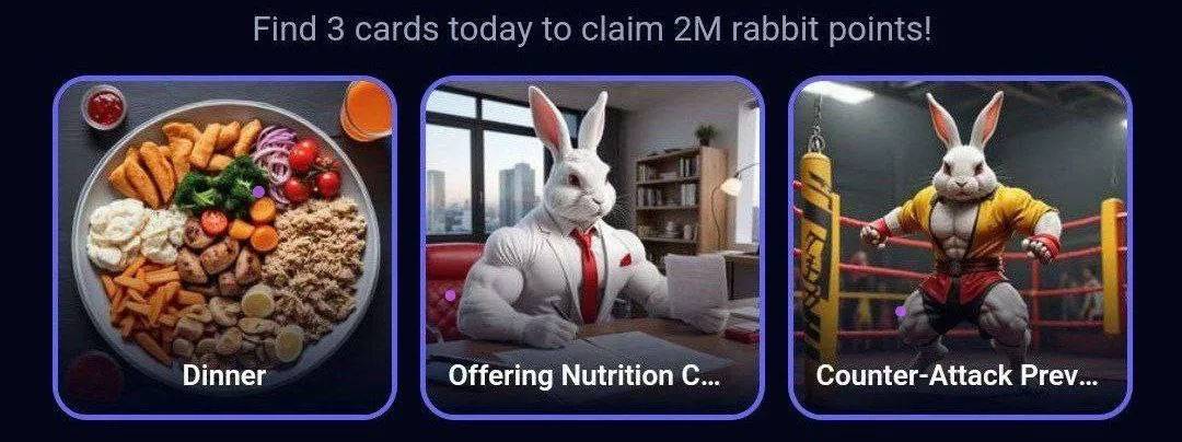 Rocky Rabbit Daily Combo 31 Juli 2024