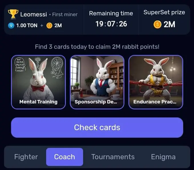 Rocky Rabbit Daily Combo 3 Agustus 2024.webp