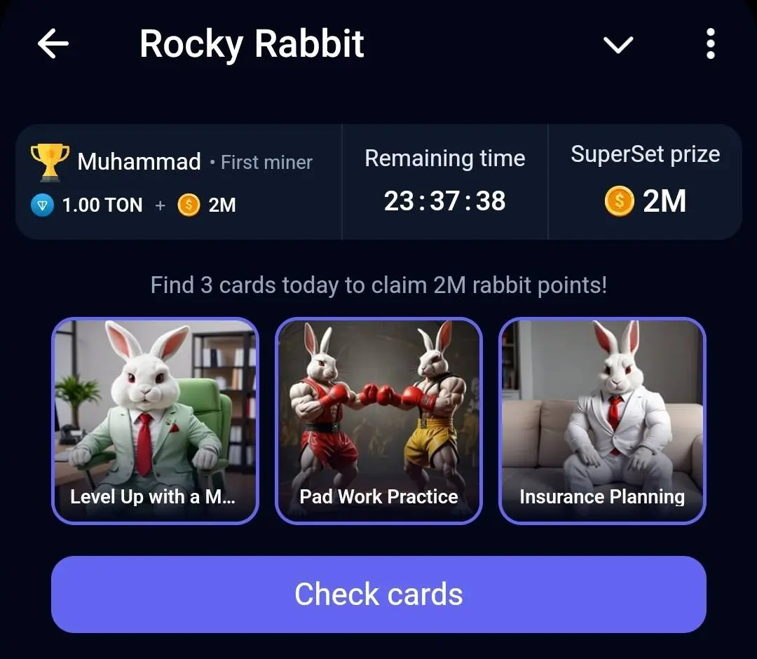 Rocky Rabbit Daily Combo Superset 16 Agustus 2024, Jangan Sampai Ketinggalan!