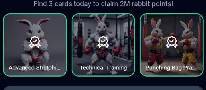 Rocky Rabbit Superset Daily Combo 16 September 2024.webp