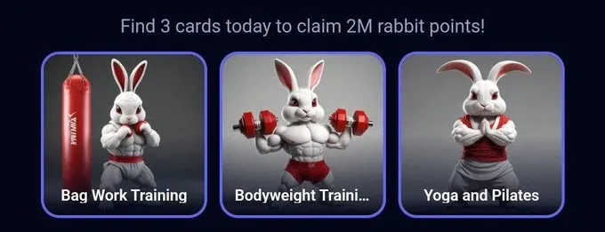 Rocky Rabbit Daily Combo 20 September 2024