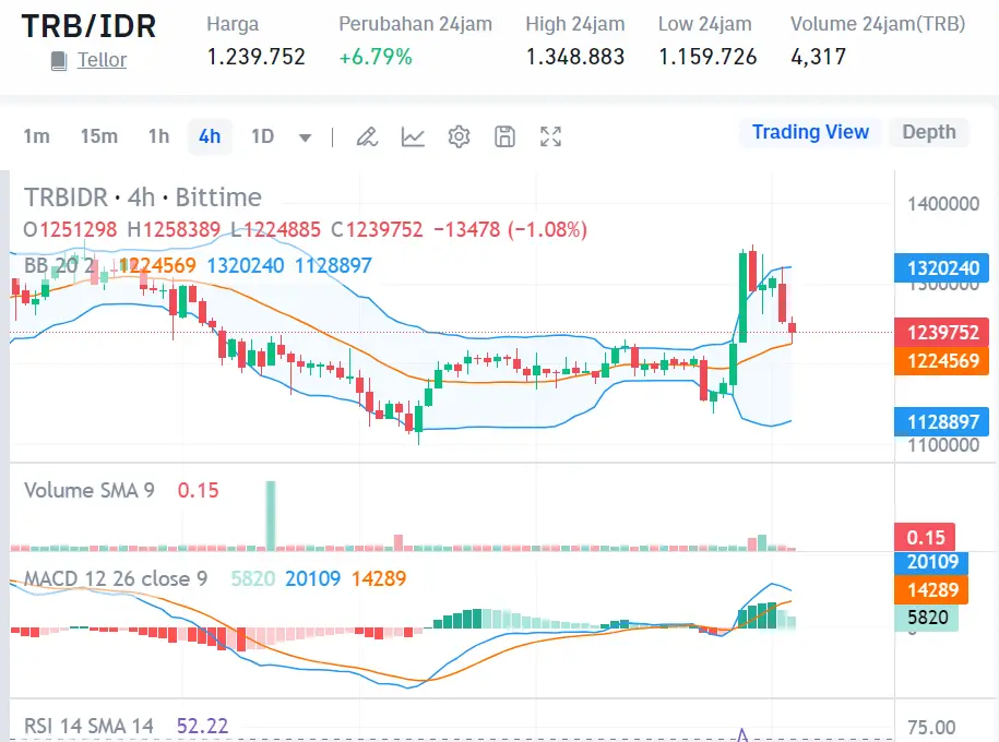 Market crypto hari ini 1 Agustus 2024