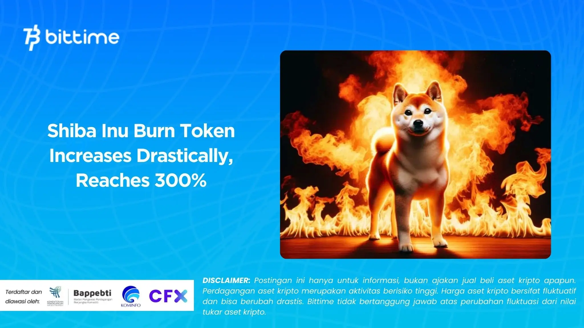 Shiba Inu Burn Token Increases Drastically, Reaches 300%.webp