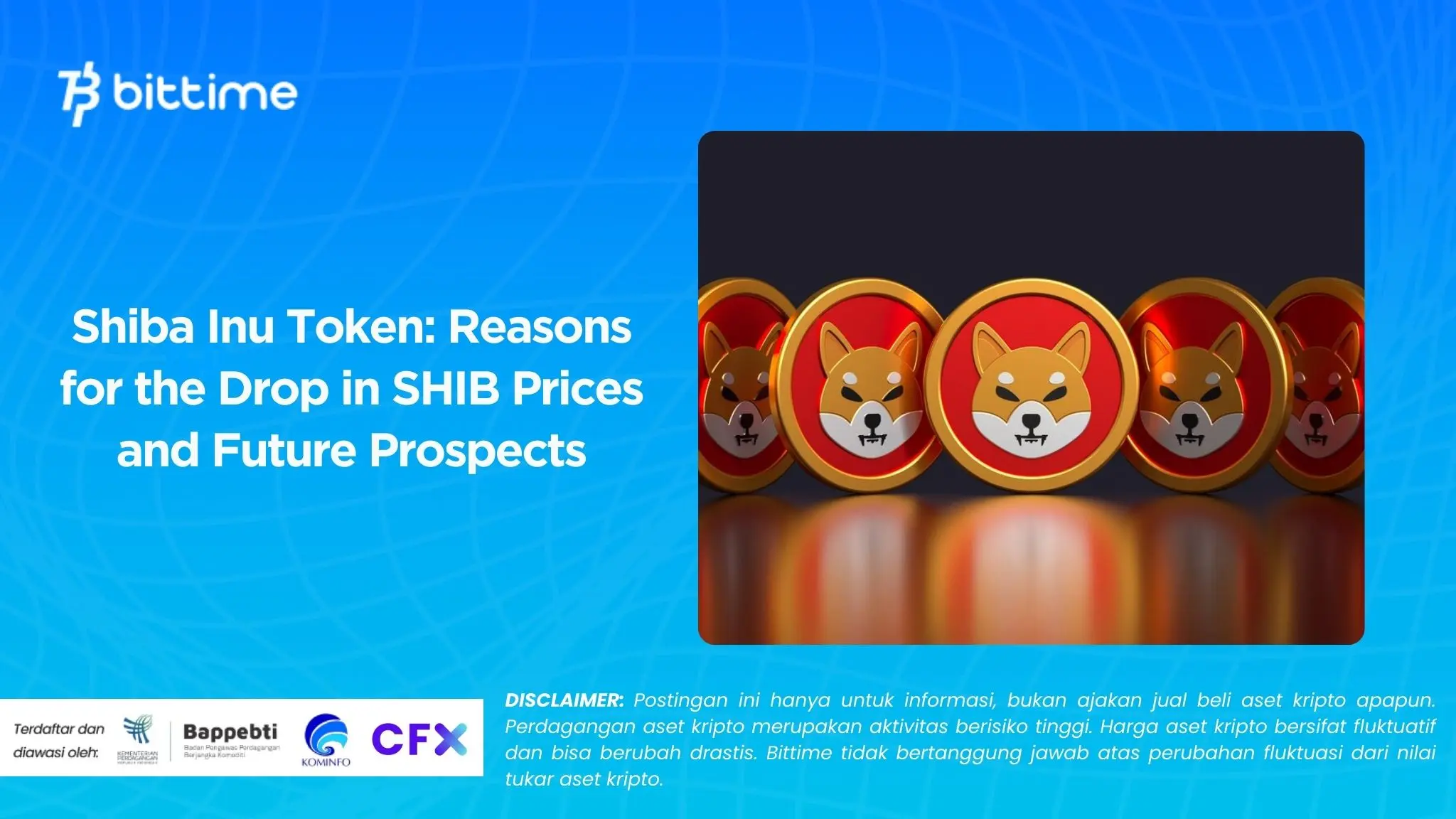 Shiba Inu Token Reasons for the Drop in SHIB Prices and Future Prospects.