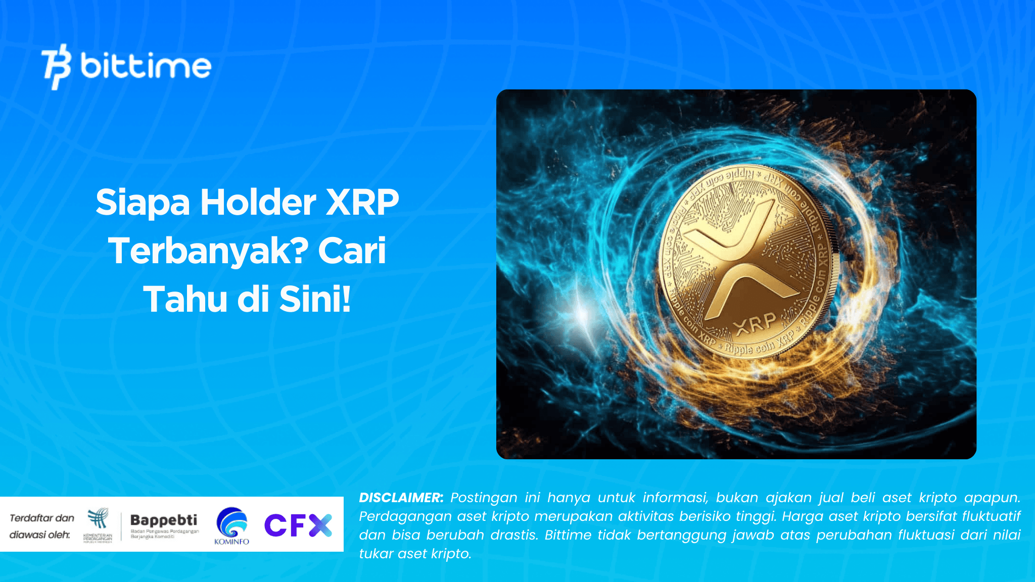 Siapa Holder XRP Terbanyak Cari Tahu di Sini!.
