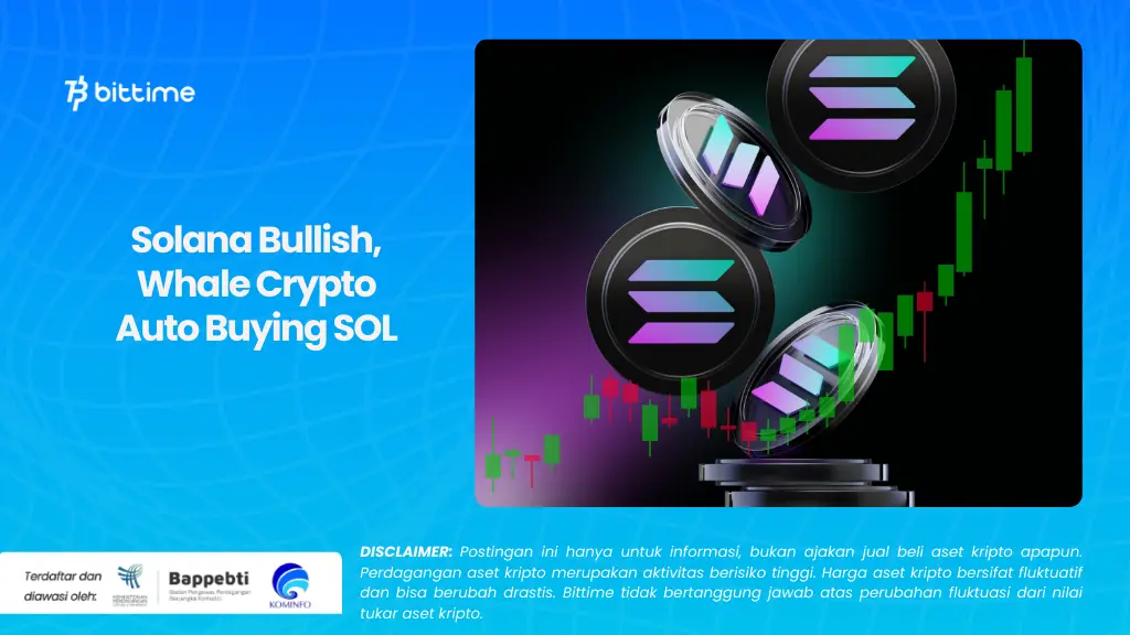 Solana Bullish, Whale Crypto Auto Buying SOL