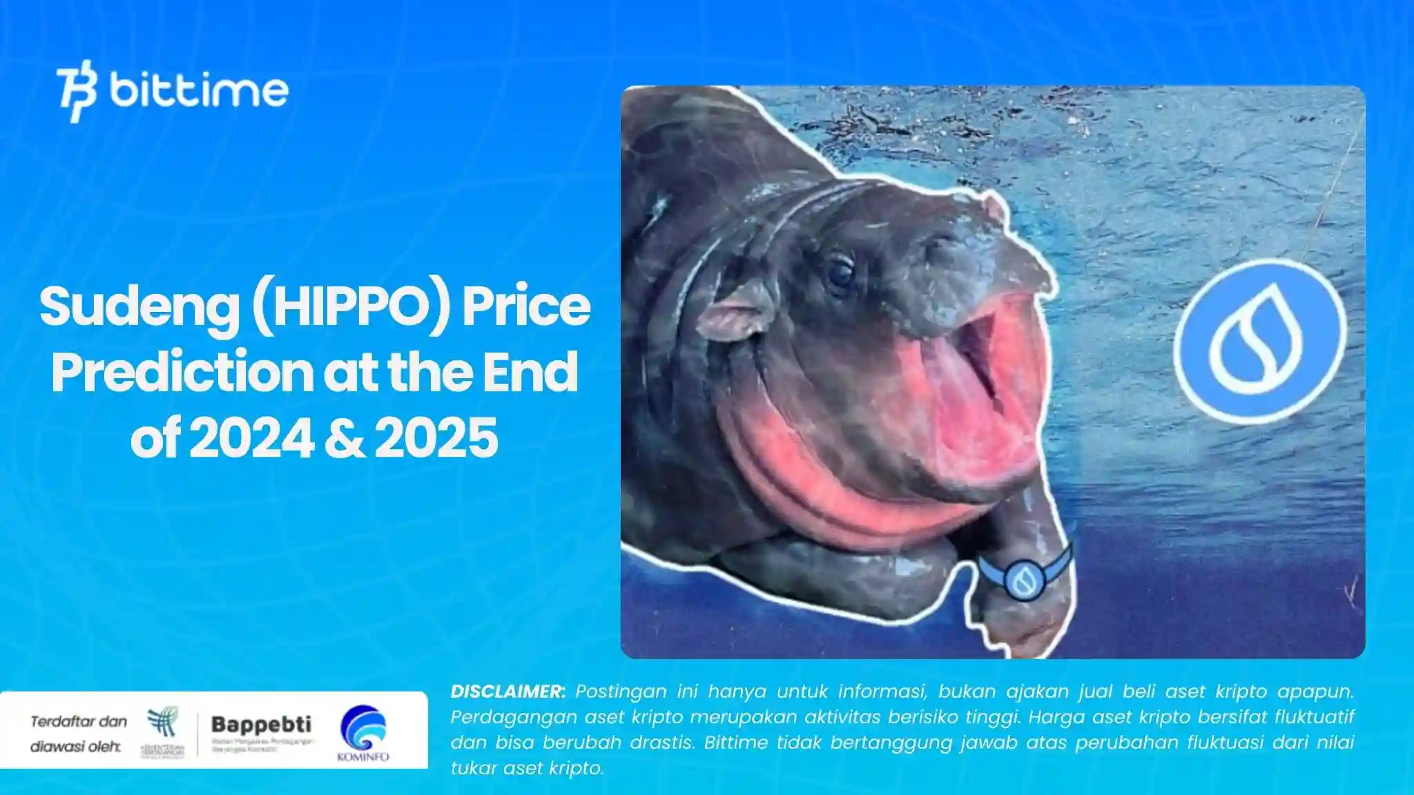 Sudeng (HIPPO) Price Prediction at the End of 2024 & 2025.webp