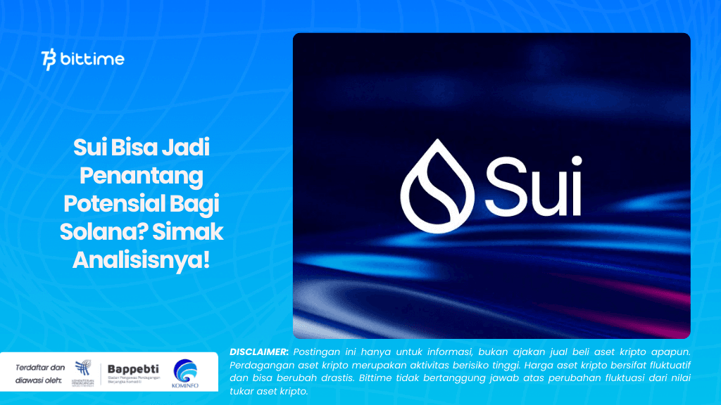 Sui Bisa Jadi Penantang Potensial Bagi Solana Simak Analisisnya!.