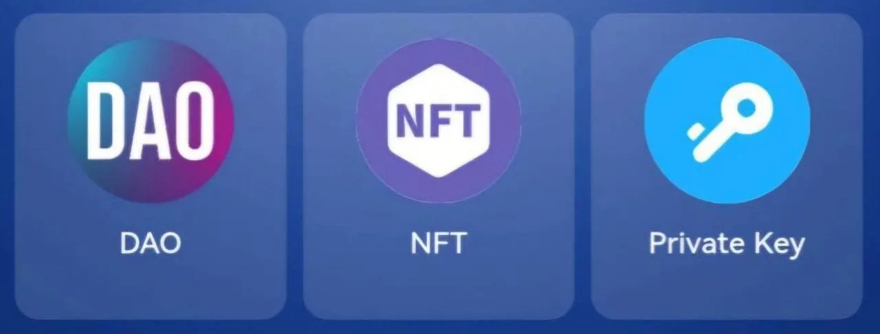 TapCoin Daily Combo 12 Februari 2025