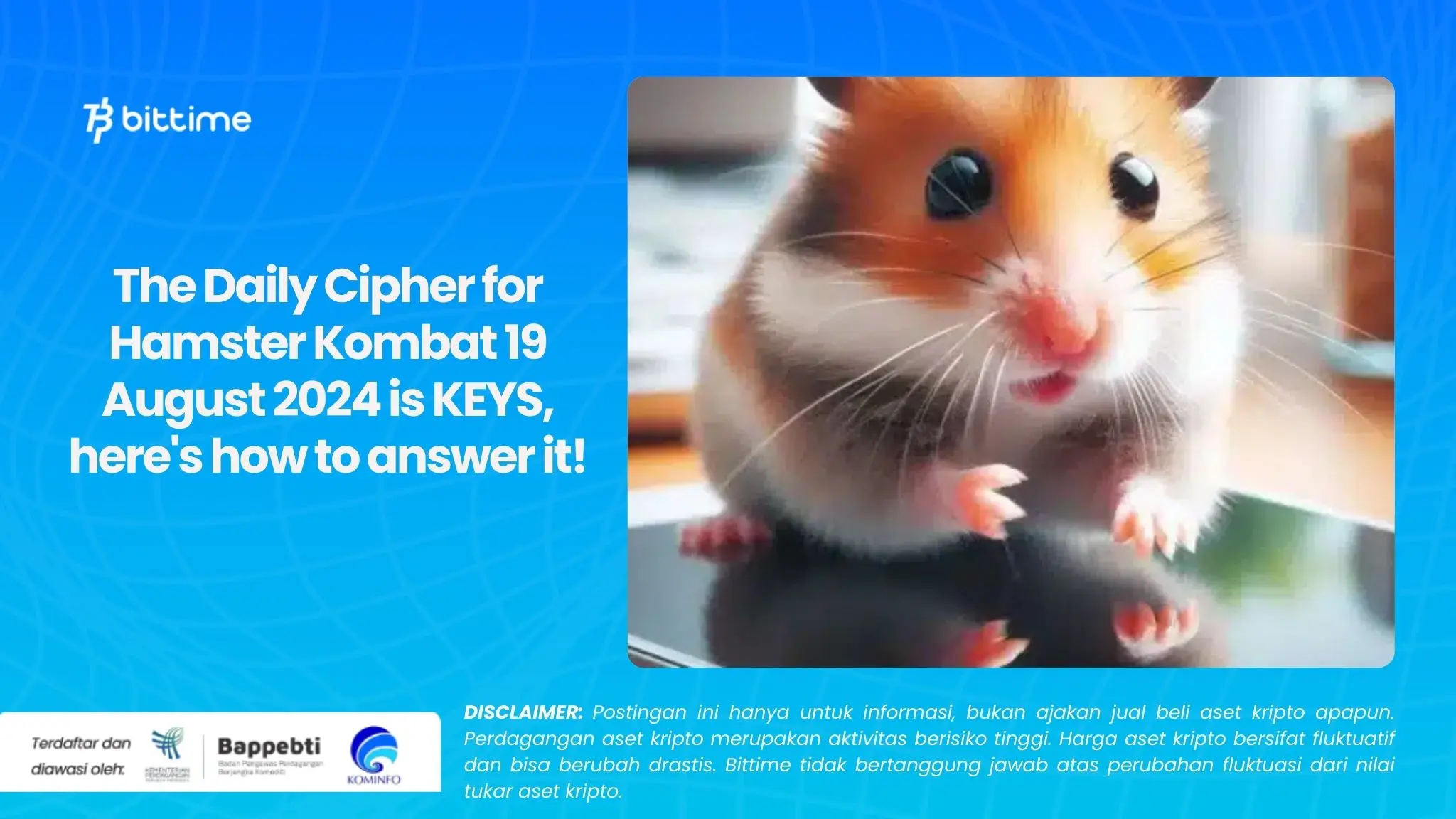 The Daily Cipher for Hamster Kombat 19 August 2024 is KEYS, here's how to answer it!.webp