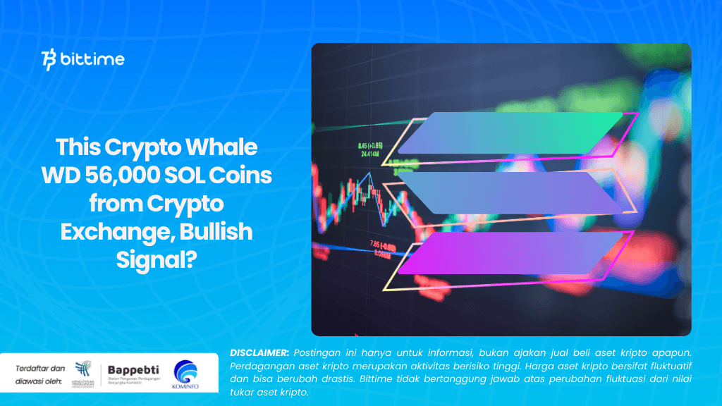 This Crypto Whale WD 56,000 SOL Coins from Crypto Exchange, Bullish Signal?