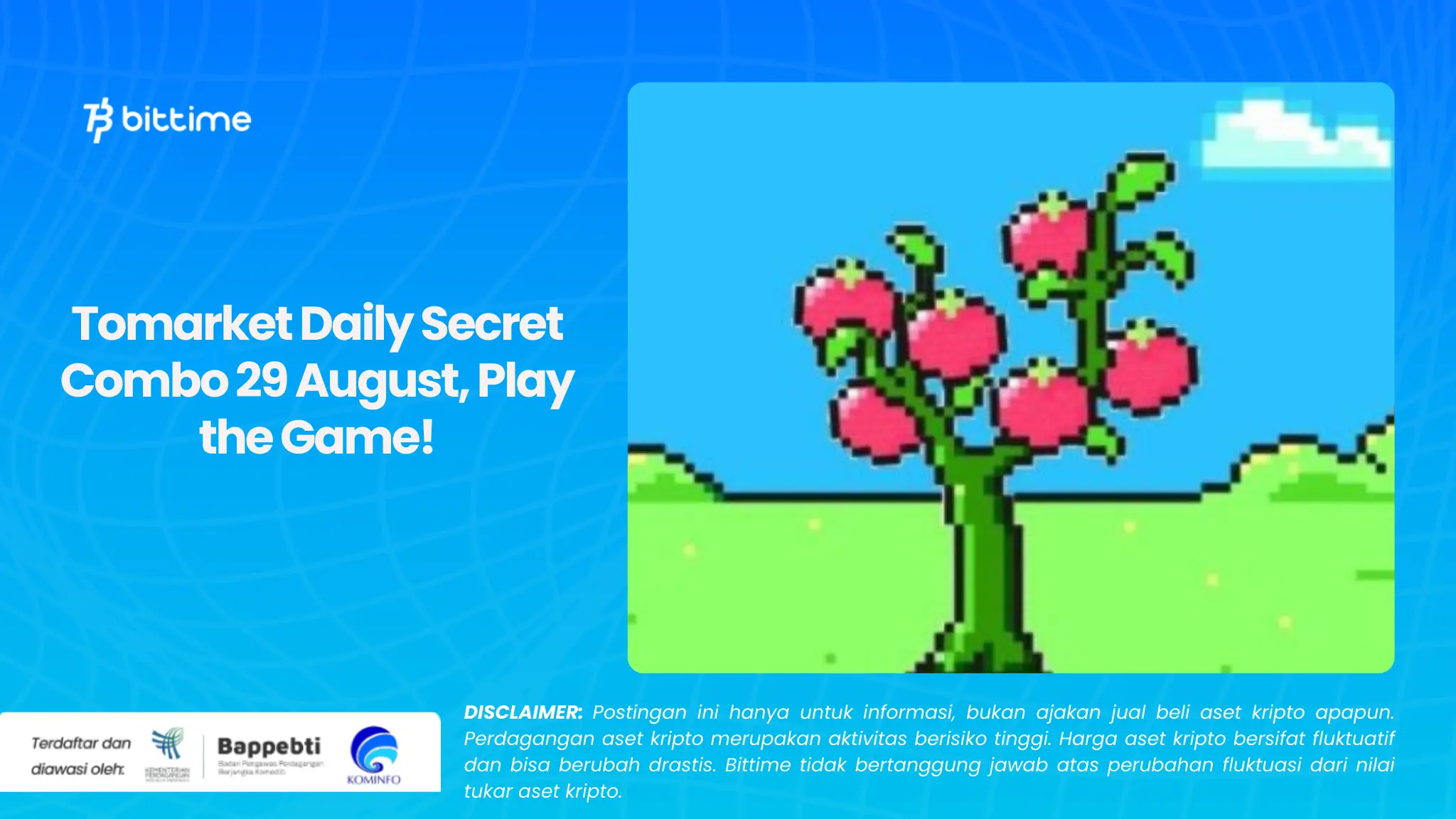Tomarket Daily Secret Combo 29 August, Play the Game!