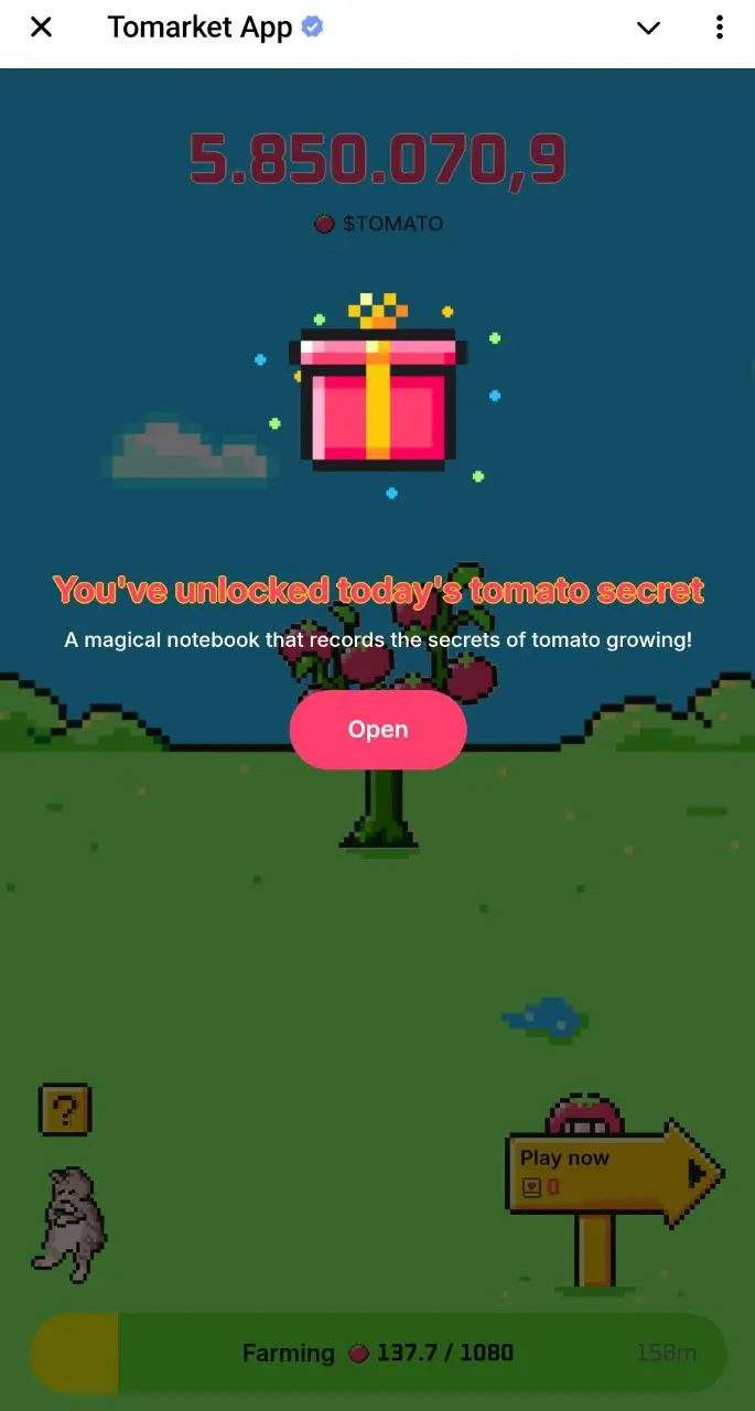 Tomarket Secret Code Combo Hari Ini 3 September, Ayo Klaim!