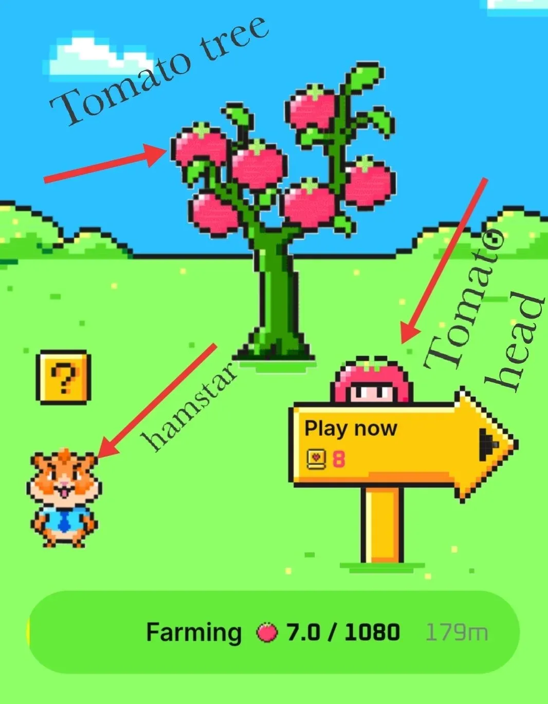 Tomarket Daily Secret Combo Penawaran Menarik 21 Agustus 2024 (1).webp