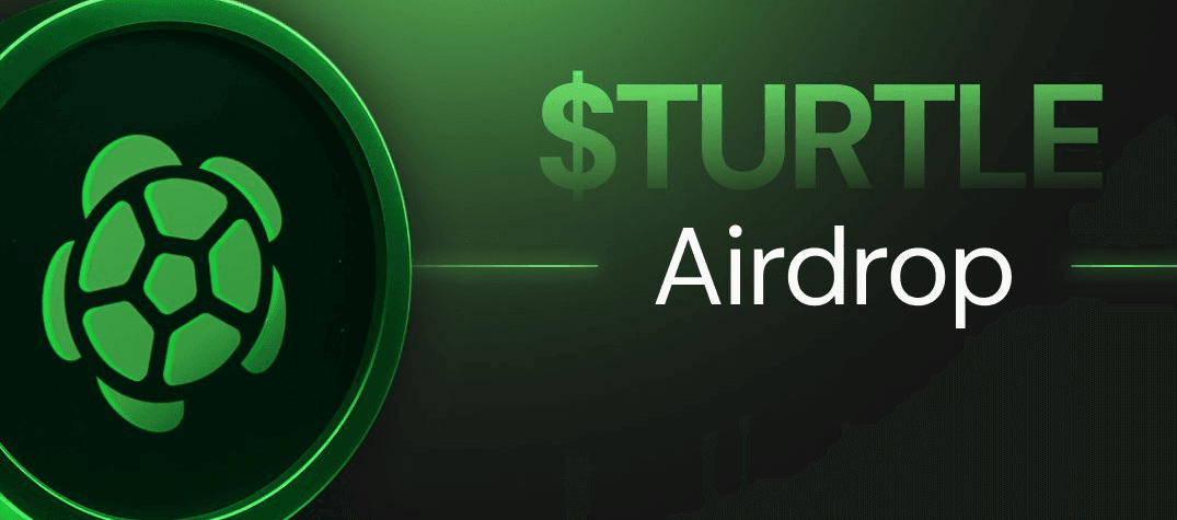 Turtle TURTLE Airdrop panduan singkat yang langsung bisa dipakai