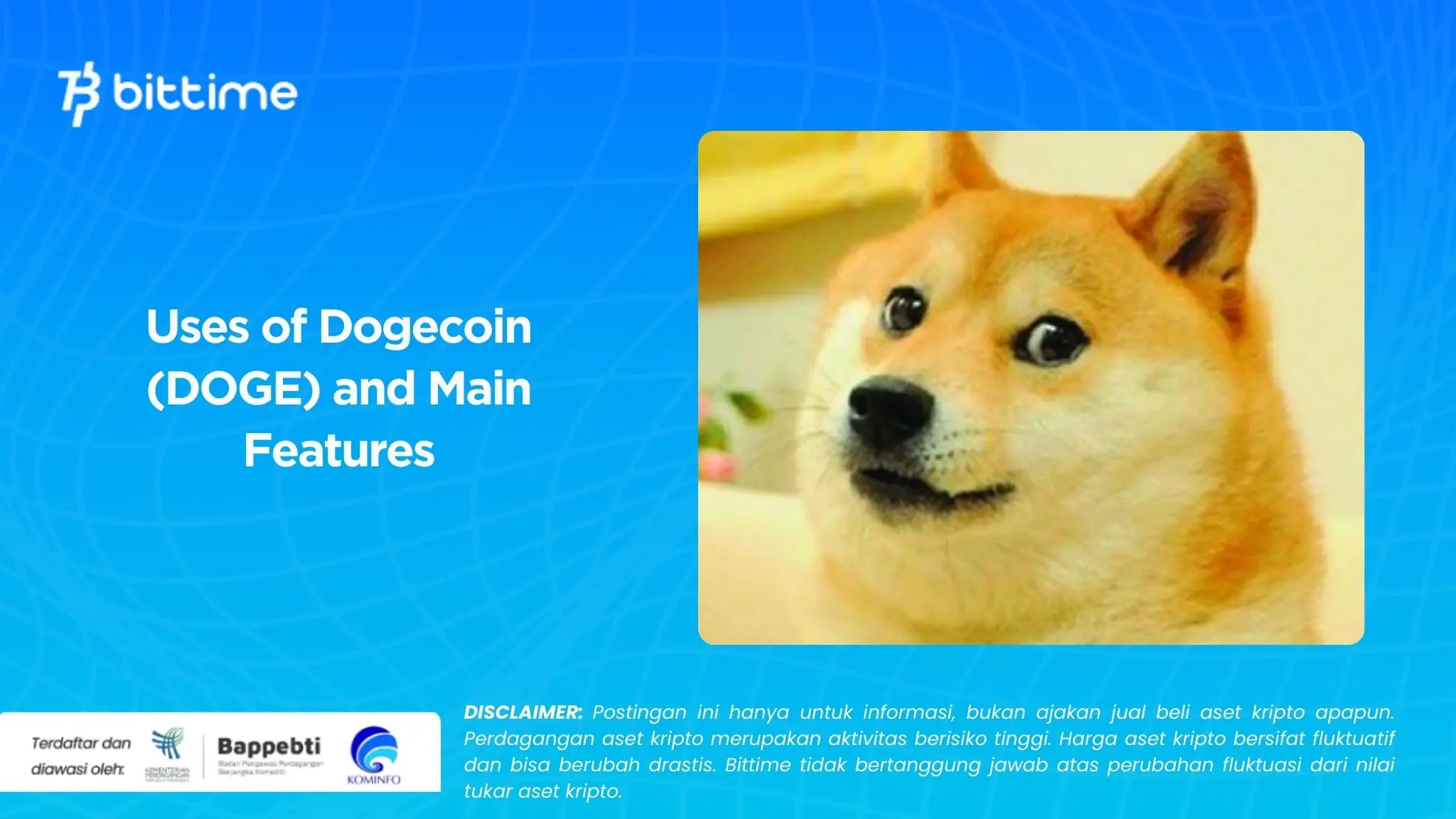 Uses of Dogecoin (DOGE) and Main Features.webp