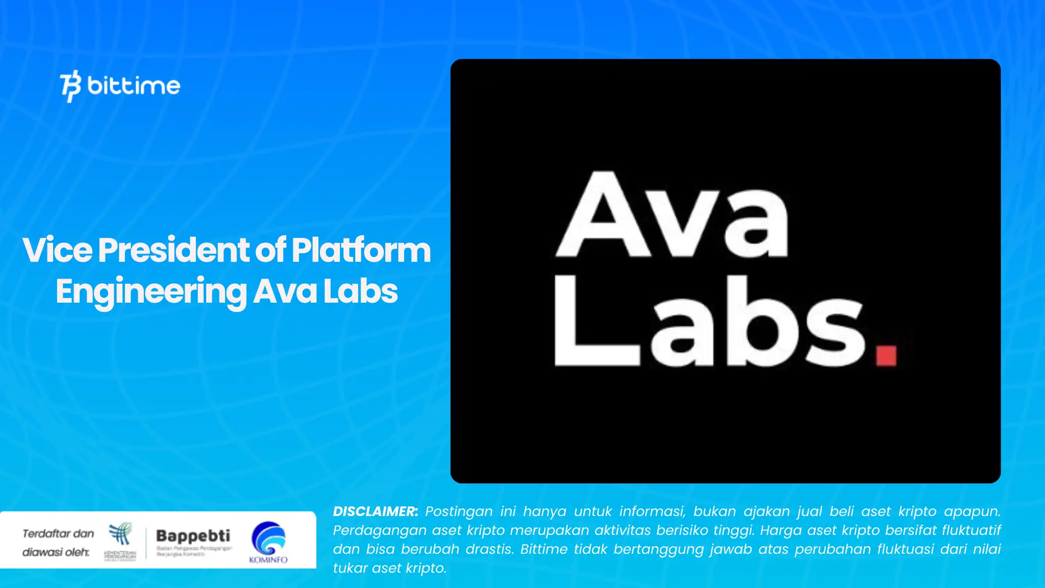 Vice President of Platform Engineering Ava Labs