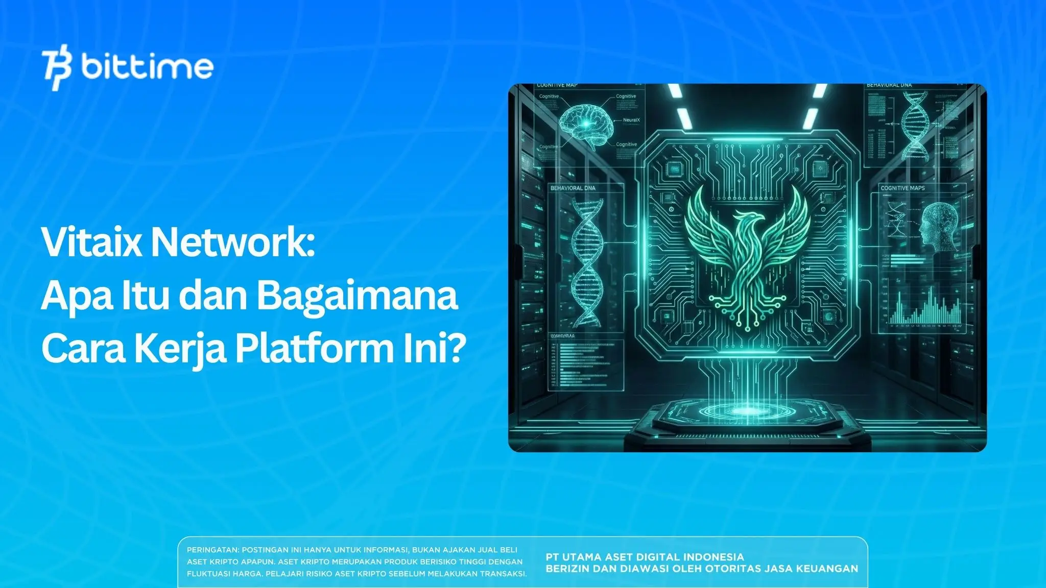 Vitaix Network: Apa Itu dan Bagaimana Cara Kerja Platform Ini?